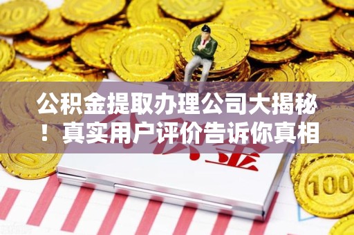 颍泉公积金提取办理公司大揭秘！真实用户评价告诉你真相